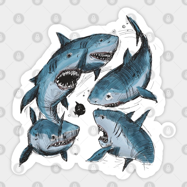 Mako Sharks Hand Drawn Sticker by Mako Design 